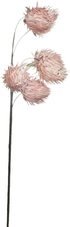 Happia dekorblomst - bilde 1 av 2